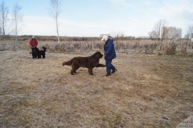 Фотография № 110808