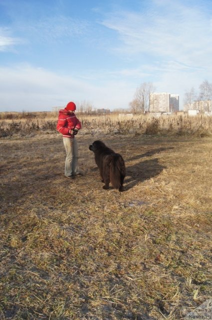 Фотография № 110812