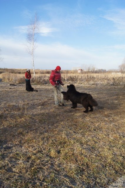 Фотография № 110813