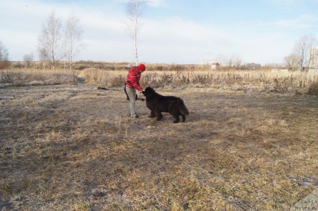 Фотография № 110814