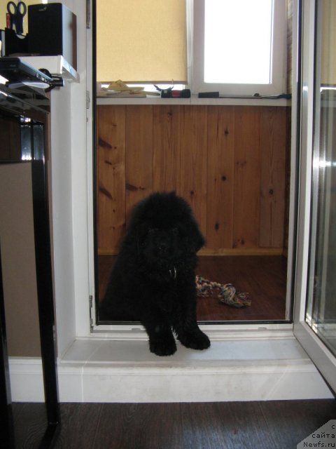 Фото: Ol'ga Koknaeva (Ольга Кокнаева)