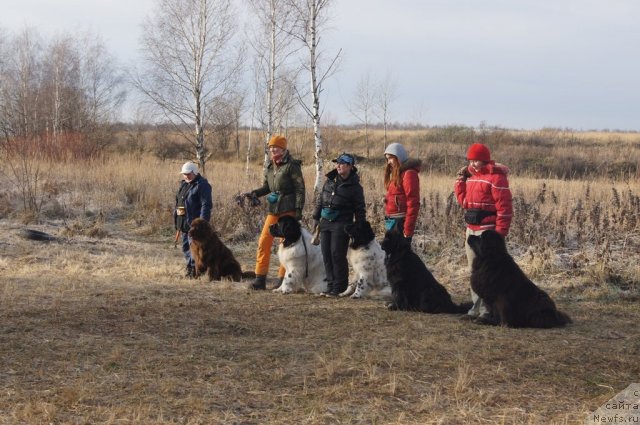 Фотография № 110840