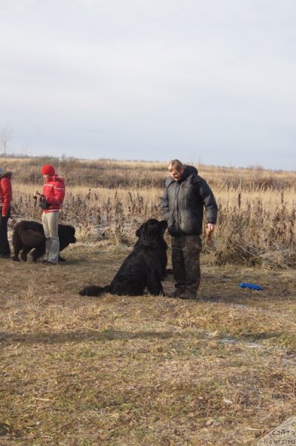 Фотография № 110844