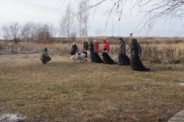 Фотография № 110853