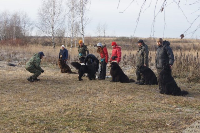 Фотография № 110855