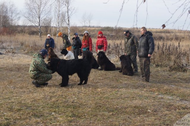 Фотография № 110864