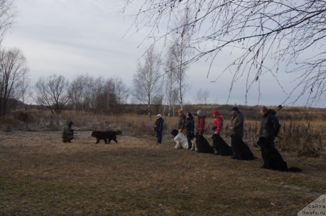 Фотография № 110866