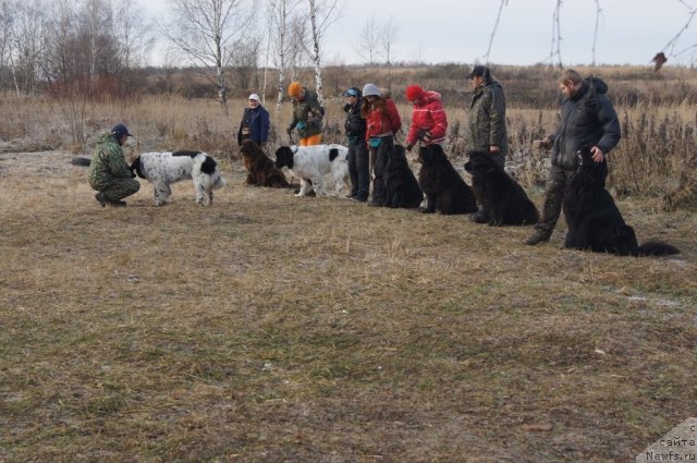 Фотография № 110870