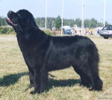 Фотография № 11088