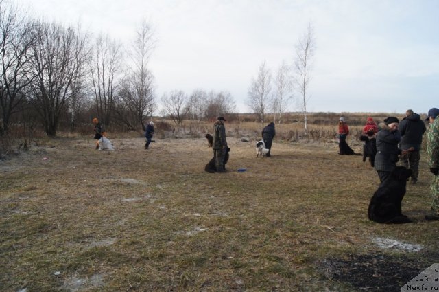 Фотография № 110882