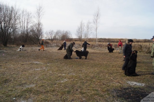 Фотография № 110883