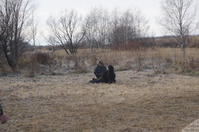 Фотография № 110885