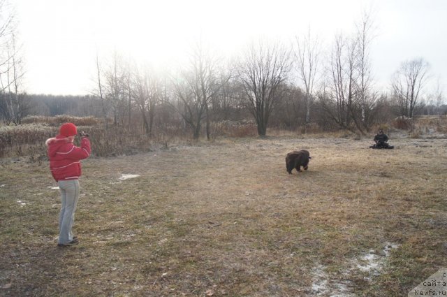 Фотография № 110892