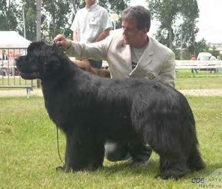 Фотография № 11090