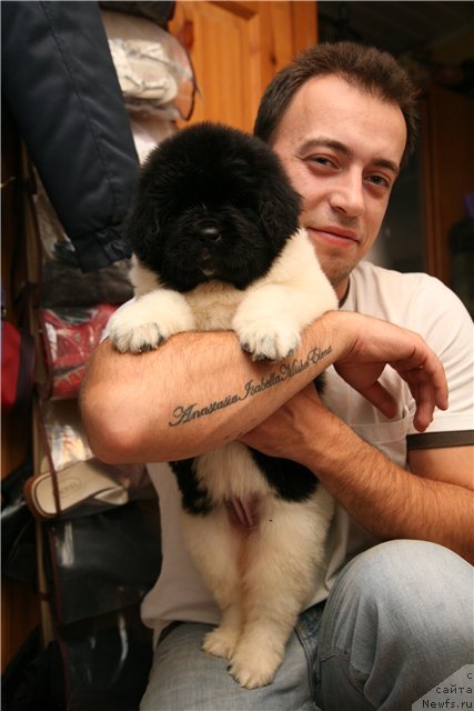 Фотография № 110908