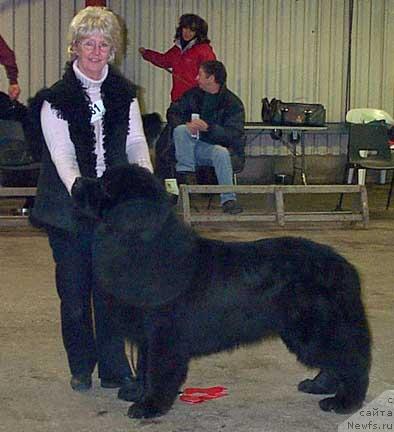 Фотография № 11091