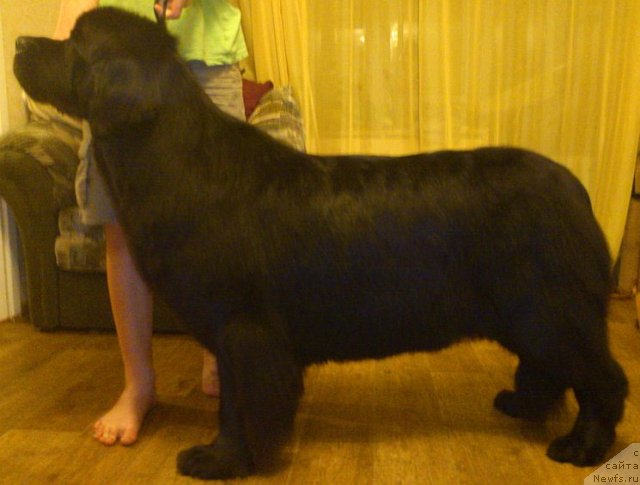 Фотография № 110920