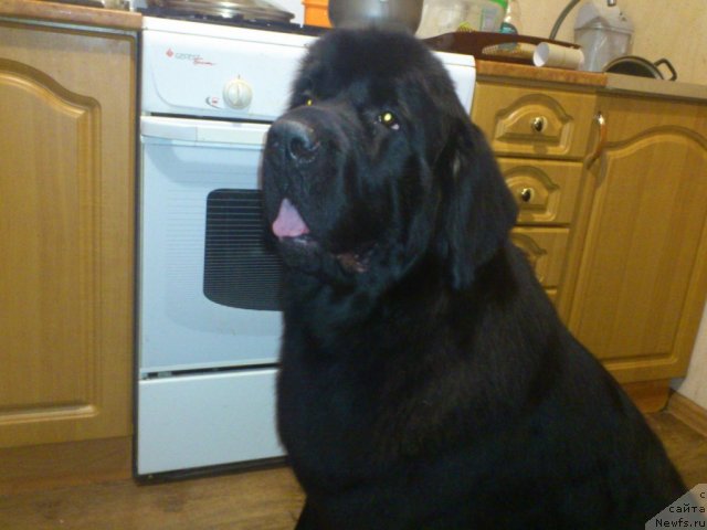 Фотография № 110924