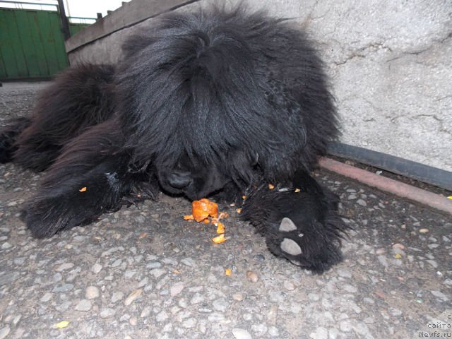 Фотография № 110944