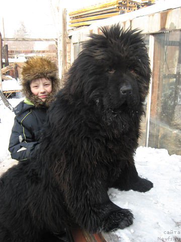 Фотография № 110945