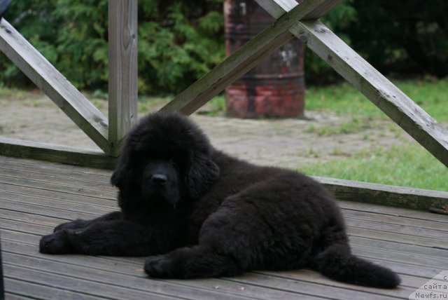 Фотография № 111024