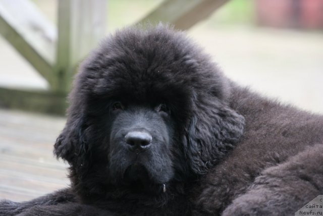 Фотография № 111025