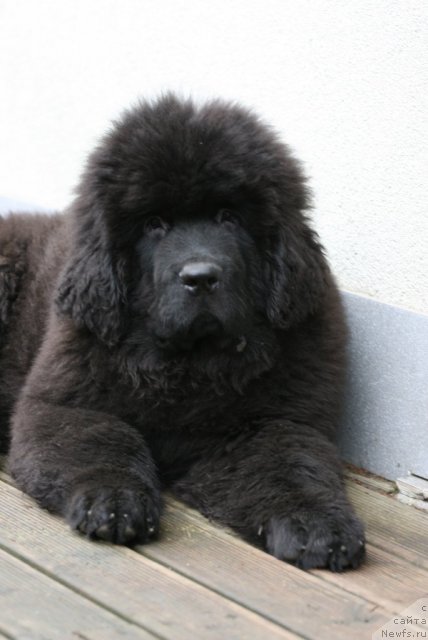 Фотография № 111026