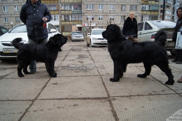 Фотография № 111034