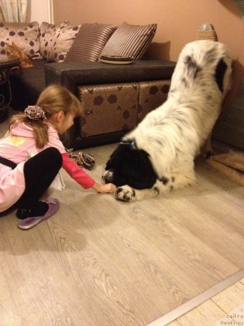 Фотография № 111059