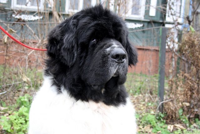 Фотография № 111072