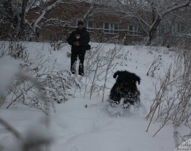 Фотография № 111078