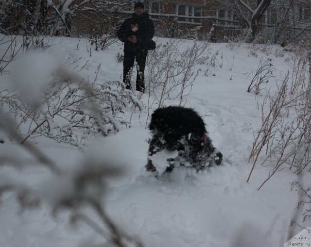 Фотография № 111079