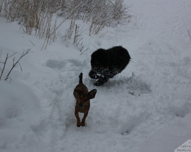 Фотография № 111080