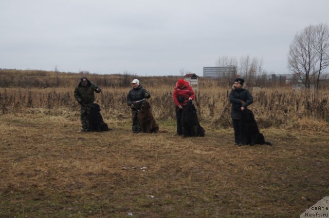 Фотография № 111118