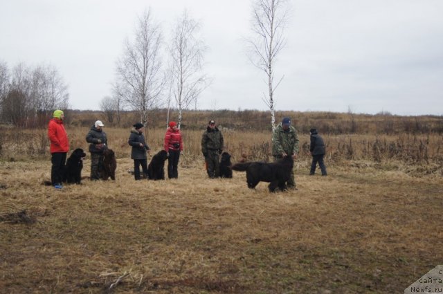 Фотография № 111134