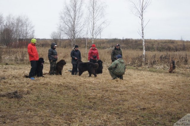 Фотография № 111137