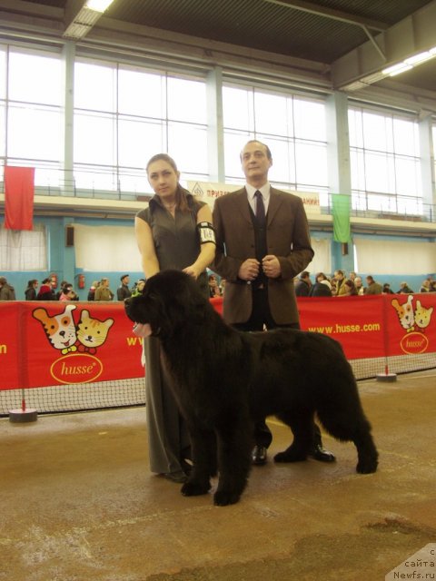 Фотография № 111152