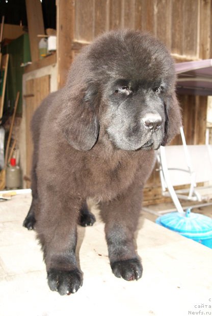 Фотография № 111160