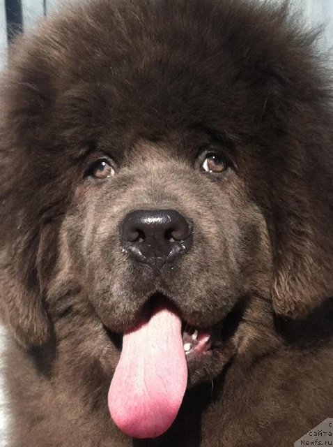 Фотография № 111167