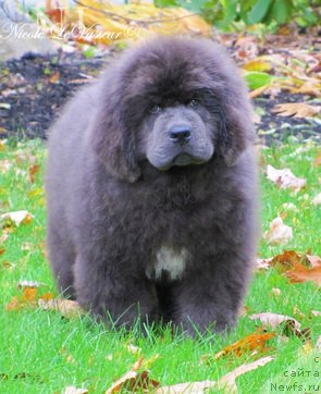 Фотография № 111168