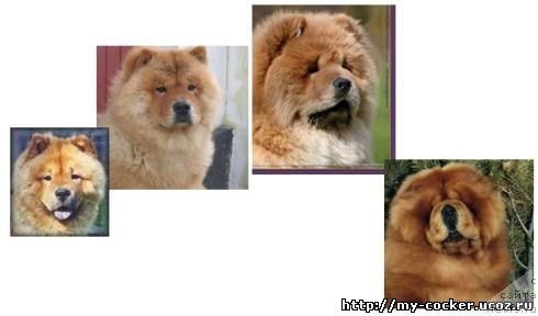 Фотография № 111171