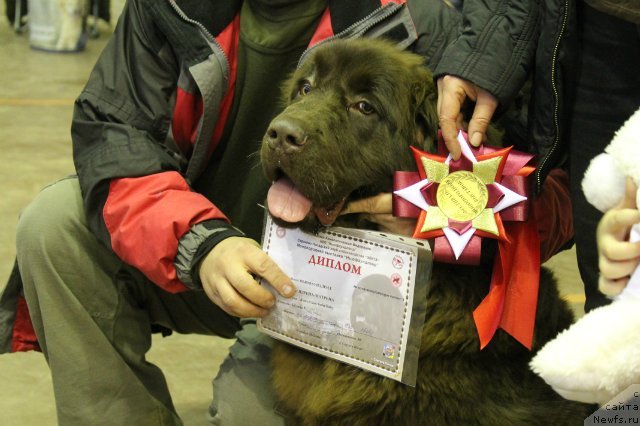 Фотография № 111177