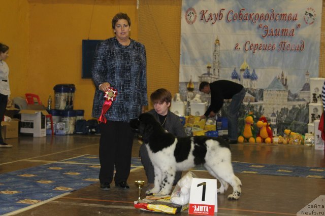 Фотография № 111178