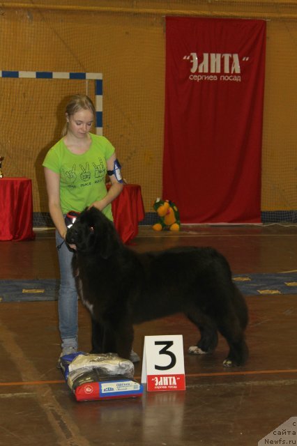 Фотография № 111181