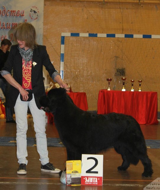 Фотография № 111183