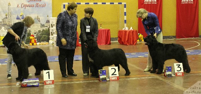 Фотография № 111184