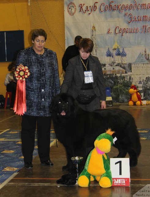 Фотография № 111185