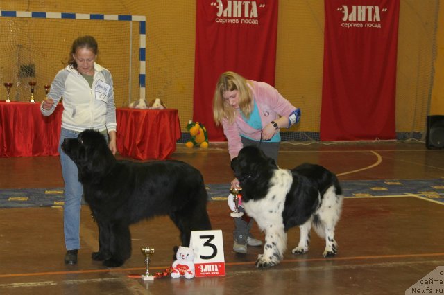 Фотография № 111188