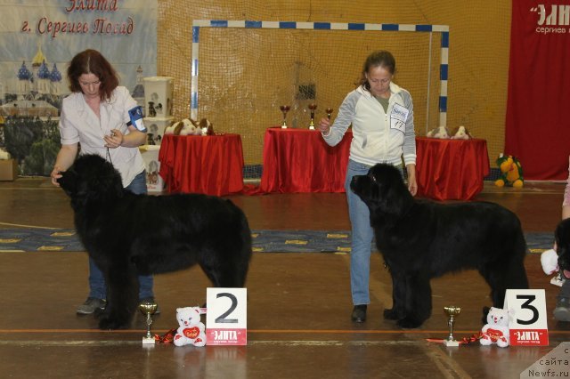 Фотография № 111189