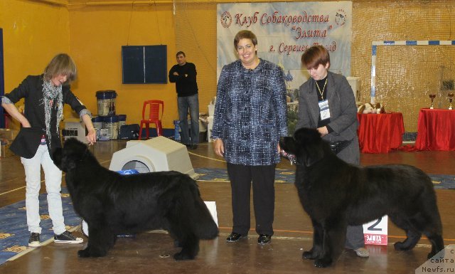 Фотография № 111192